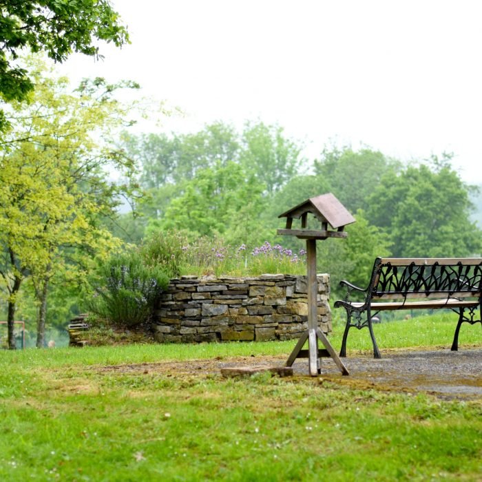 Espace vert et nichoir dans le jardin de l’école